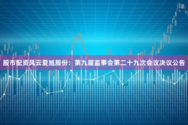 股市配资风云爱旭股份：第九届监事会第二十九次会议决议公告