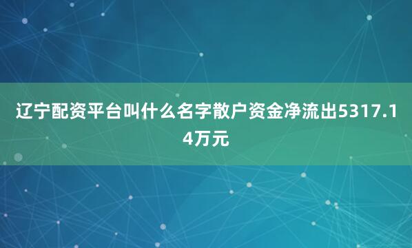 辽宁配资平台叫什么名字散户资金净流出5317.14万元