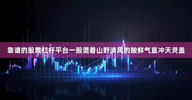 靠谱的股票杠杆平台一股混着山野清风的酸鲜气直冲天灵盖