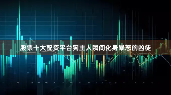 股票十大配资平台狗主人瞬间化身暴怒的凶徒